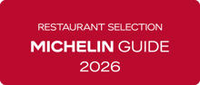 MICHELIN_Selected_Rectangle_Red.png